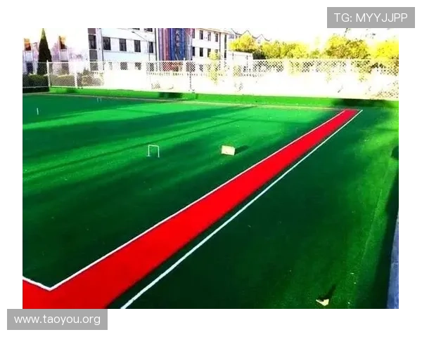 南宫体育ng官网位置介绍及官方平台安全访问指南